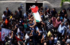 شهيد و283 مصابا فلسطينيا على يد الاحتلال في مايو