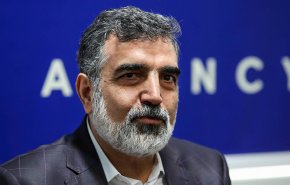 کمالوندي: إغلاق الكاميرات الإضافية جاء ردا على سوء تصرف الوكالة الدولية للطاقة الذرية