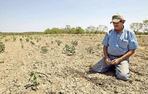ارتفاع اسعار الحليب في المغرب بسبب الجفاف