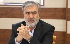  نهج الوكالة الدولية للطاقة الذرية يعتمد على إرادة نظام الهيمنة