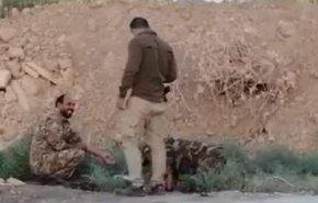 الحشد الشعبي يحبط مخططا إرهابيا لاستهداف المدنيين في سامراء