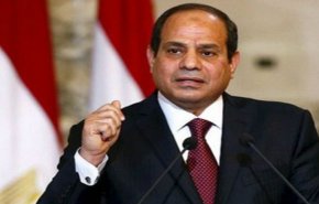 السيسي: 'علينا في العالم العربي أن نحمي بلداننا'