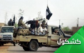 قتلى القاعدة وفضيحة المدافعين عن 