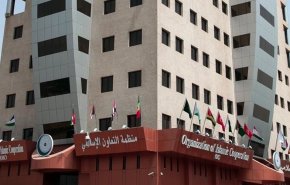 منظمة 