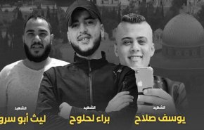 شاهد.. لماذا الاحتلال يقوم بعمليات اغتيال خاطفة في جنين؟