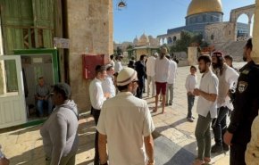 شاهد.. من يقف وراء اقتحامات المسجد الاقصى المبارك؟