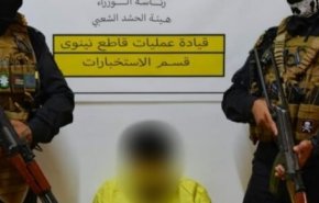 الحشد الشعبي يطيح بإرهابي في الموصل
