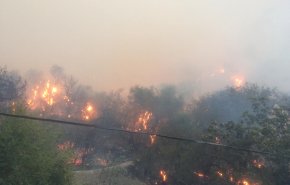 3 وفيات في حرائق الجزائر