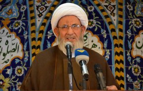 يزبك: رسالة المسيرات للاسرائيلي والوسيط الأميركي بأنه لا يمكن الاستخفاف بحقوق لبنان

