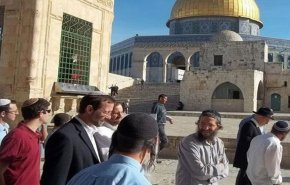 عشرات المستوطنين يدنسون ساحات الأقصى 
