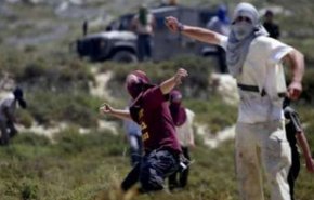 شبان فلسطينيون يصيبون مستوطِنة بالحجارة شمال القدس