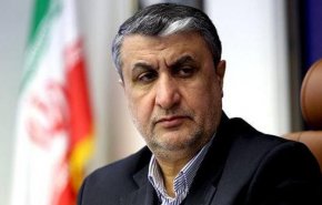ايران تسرّع بناء الوحدتين الثانية والثالثة من مفاعل بوشهر النووي