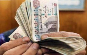  موظف يسرق ملايين الجنيهات من أكبر بنوك الدولة في مصر!