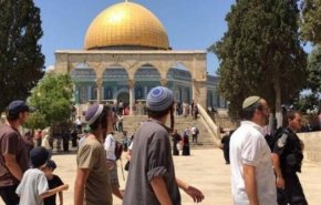 مستوطنون يقتحمون ساحة الغزالي بالأقصى