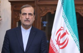 السفیر الایراني : امير عبداللهيان يزور الكويت قريبا