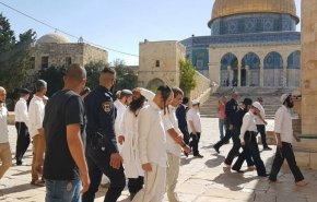 عشرات المستوطنين يدنسون الأقصى المبارك