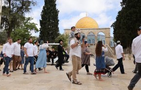 توسيع باب المغاربة.. مخطط غير مسبوق يمهد لهدم جزء من الأقصى
