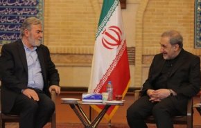 علي أكبر ولايتي يستقبل زياد النخالة في طهران