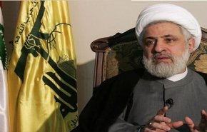 الشيخ قاسم: نحن أقوياء في الداخل بسبب التأييد الشعبي الأكبر في لبنان