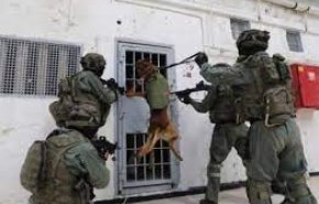 الاحتلال يعتدي على الأسرى الفلسطينيين في سجن ’ريمون’