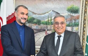 بوحبيب: عبداللهيان كرّر عروض إيران لتنفيذ مشاريع لإنتاج الطاقة الكهربائية