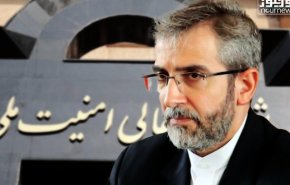 باقري يقدم تقريرا عن المفاوضات النووية للمجلس الأعلى للأمن القومي 