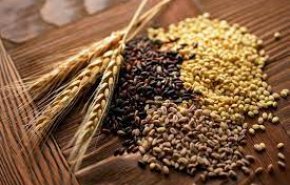 العراق أكبر مستورد للحبوب التركية