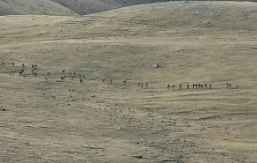 أرمينيا وأذربيجان يتبادلان الاتهامات بانتهاك وقف إطلاق النار على الحدود