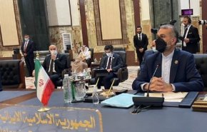 عبداللهيان يجري محادثات مع نظرائه من السويد وهولندا والبرازيل والنمسا
