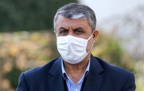 رئیس سازمان انرژی اتمی وارد وین شد