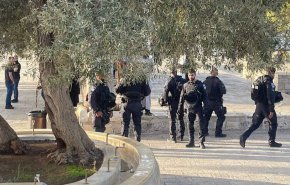 مستوطنون يقتحمون باحات المسجد الأقصى وسط تصدي من المرابطين + فيديو