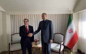 وزير الخارجية الايراني يبحث ونظيره الكوبي توسيع العلاقات الاقتصادية بين البلدين