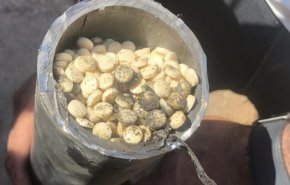 لبنان.. ضبط كمية هائلة من 