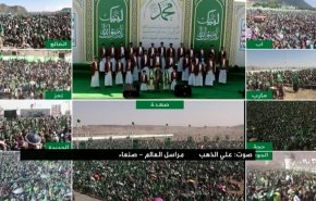 بالفيديو.. هبة يمنية كبرى بذكرى مولد الرسول الأكرم (ص)