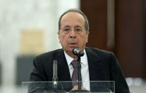 نائب لبناني: المقاومة عملت بواجبها ووضعت الدولة في موقع قوة