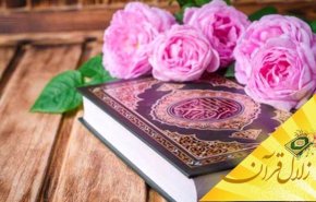 سنت های الهی و قوانین و اسباب و علل در جهان هستی چه نقشی ایفا می کنند؟