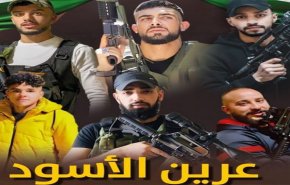 شاهد.. 