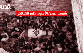 فيديوغرافيك.. شهيد 