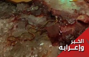 الهجوم الإرهابي على زوار 'شاهجراغ' في شيراز.. لماذا؟