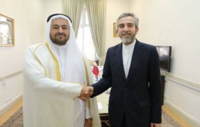 باقري والخليفي يبحثان تطورات المنطقة وتوسيع العلاقات