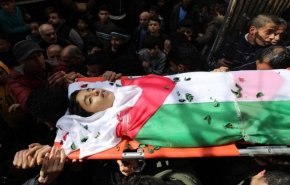 استشهاد 29 طفلاً فلسطينيا برصاص الاحتلال منذ بداية العام