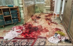 حركة انصار ثورة 14 فبراير في البحرين تدين الاعتداء الارهابي في شيراز