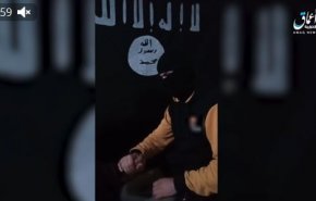 شاهد .. منفذ جريمة 