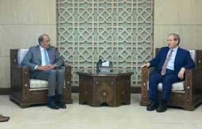 المقداد : استمرار العمل لتنفيذ مشاريع التعافي المبكر
