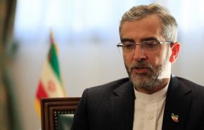 باقري: الوفد الفني الإيراني سيغادر إلى فيينا خلال الأيام المقبلة