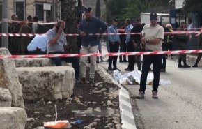 عملية أرئيل رد فلسطيني حقيقي وطبيعي على جرائم الاحتلال + فيديو