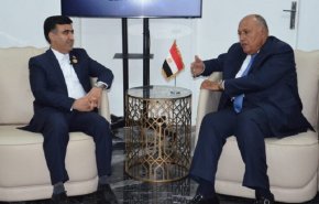رئيس منظمة حماية البيئة الإيرانية يلتقي بوزير الخارجية المصري