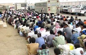 غضب شعبي ضد جرائم السعودية بحق المغتربين اليمنيين