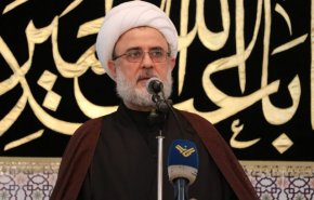 الشيخ قاووق: نريد رئيسا توافقيا لا يتآمر على المقاومة