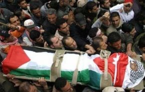 شهيد و21 إصابة برصاص الاحتلال في الخليل